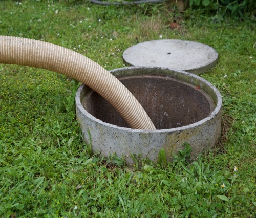 removal of sewage sludge